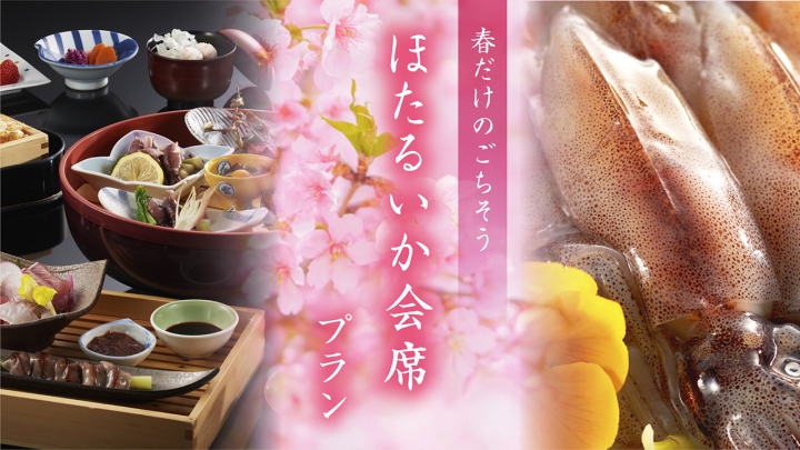 富山　ほたるいか