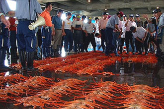 Shin Minato Kittokito Market