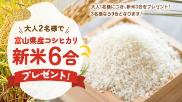 金太郎温泉 新米