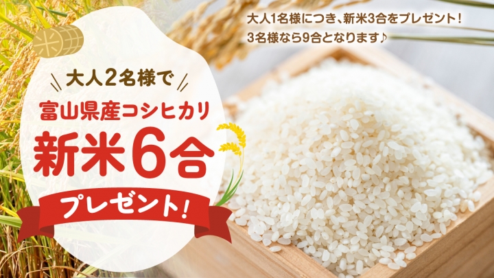 金太郎温泉 新米