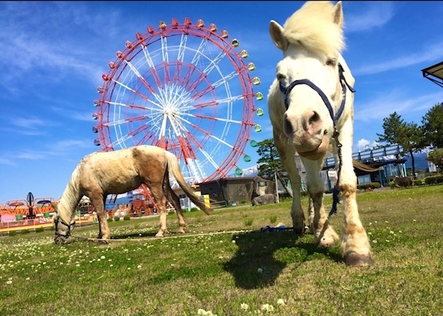 富山の遊園地 ミラージュランド へ行こう 魚津市